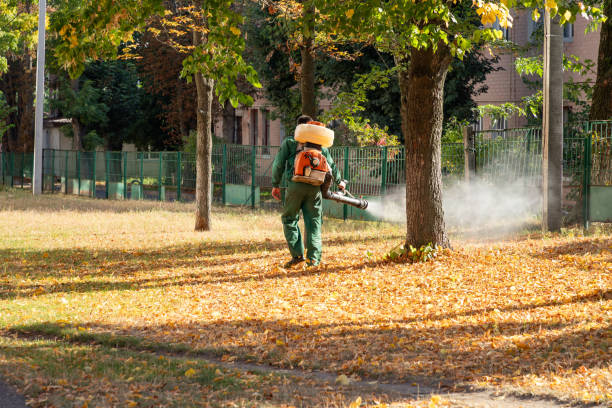 Best Pest Removal Services  in Lodi, WI